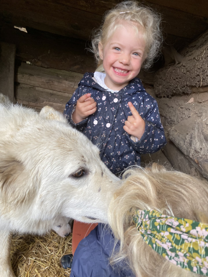 Rashonden-kennel Witte Zitserse Herder